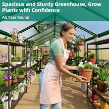 8x12 FT Greenhouse - Large Aluminum Greenhouses for Outdoors