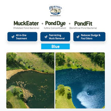 Bjornsen Natural Pond Treatment Pack Blue, Half Acre, Complete Pond Care