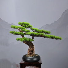 QWERAXZG Welcome Pine Bonsai Simulation Solid Wood Green Plant Potted Decoration