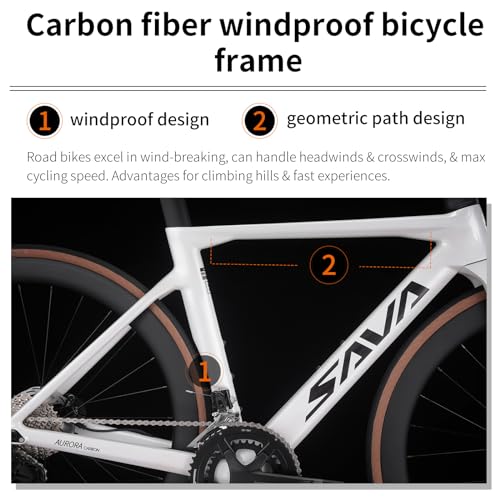 SAVADECK Carbon Fibre Road Bike Hydraulic Oil Disc Black