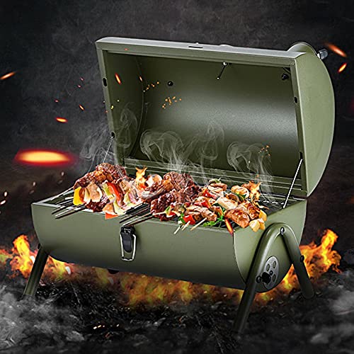 Portable Outdoor BBQ Grill Patio Camping Picnic Barbecue Stove Suitable for 3-5(white-Dinosaur Doodle4)