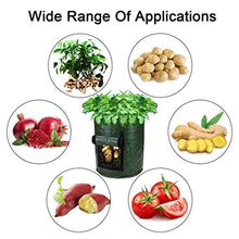 Potato Growth Bag Vegetable Onion Cultivation Fabric Bags Garden Seedling Growing Bag Farm Garden Tool (Color : Green Size : 7 Gallon) (Green 12 Gallon)