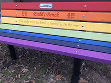 The Roudebush Company Buddy Bench Rainbow