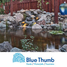 Blue Thumb Elite 1000 Gallon Water Garden and Pond Kit 8' x 11' Blue