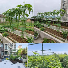 16mm Heavy Duty Garden Trellis for Climbing Plants, Plant Support Structures, Raised for Tomato, Cucumber, Squash, Melon, Beans