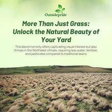 Outsidepride Perennial Northeast Native Grass Seed Mix - 25 lbs. Cold & Drought-Tolerant Warm & Cool Season Prairie Grass Seeds for Xeriscaping, Erosion Control, Wildlife Support, & Pollinator Habitat