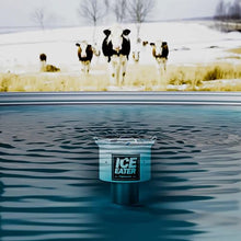 ICE EATER .25 HP Pond Deicer with 100ft Power Cord