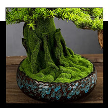 FAFACAI Small Bonsai Simulation Pine Bonsai Plant Bonsai Ornaments Artificial Bonsai Decoration Indoor Living Room Office Desktop Decoration (Color : A) (A)