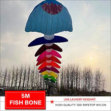 TiffyDance 10m 3D Soft Inflatable Fish Bone Kite Windsock