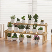 RWGOVLU Plant Stand Small Plant Stand Indoor Ladder Shelf 2 Tiers Desktop Flower Stand Window Wood Plant Trellis For Succulent Cupcake Spice Rack Countertop Flower Display Rack S