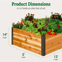 Gardener's Supply Company Raised Garden Bed | Outdoor Cedar Planter Box w/Extra Deep Height for Rooted Plants, Herbs Flowerbed & Vegetable Garden Wooden Box | 3' W x 12' L x 14" H