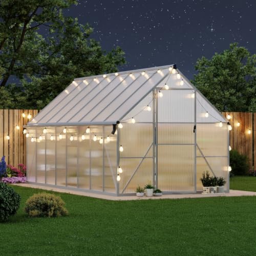 Takywep 8x16 ft Walk-in Greenhouse, Polycarbonate Panels & Aluminum Frame