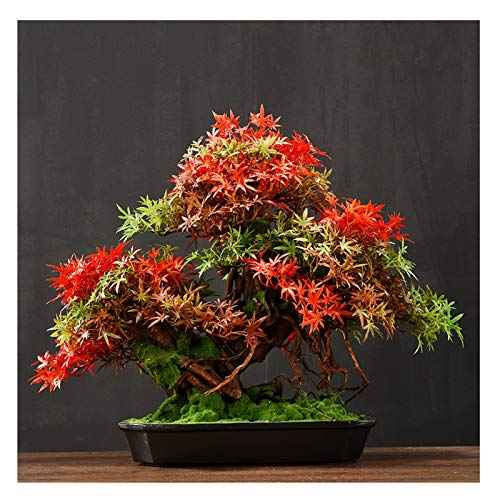 Simulation Bonsai Welcome Pine Ornaments Office Living Room Porch Decoration Crafts Opening Gift Plant House Plant (Color : L) (R)