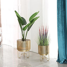 SIDUFHAOPKLL Indoor Floor Plant Rack Living Room Green Rose Iron Flower Large Flowerpot Gold(30x40cm)