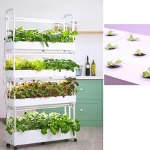 FLTRGO Hydroponic Growing System, 4 Layer Indoor Planting Kit, with Automated LED Grow Lights, 64 Seeding Sites, Water Pump, Vertical Hydroponic Tower Shelf