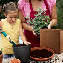 UBICON Organic Coco Coir Block - 11 lb Garden Soil for Indoor & Outdoor Use