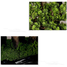 Creative Simulation Welcome Pine Bonsai Chinese Living Room Potted Large Green Plants Indoor TV Cabinet Landscape Decoration Gifts House Plant (Color : A)