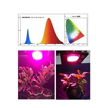 Led Full Spectrum Grow Lamp Outdoor Phyto Light Growth Floodlight for Plant Greenhouse Seeding