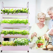 FLTRGO Indoor Garden Hydroponic Growing System,3/4 Tier Hydroponics Tower Set,Hydroponic Planter,Plant Vertical Hydroponics,Suitable for Planting Leafy Vegetables,Stem Vegetables