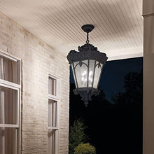 Bailey Street Home 8 Light Outdoor Ceiling Fixture Londonderry Finish Clear