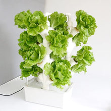 BEESOM Vertical Hydroponics Indoor Growing System, Garden Hydroponic Growing System, Vertical Hydroponic Kit for Gardening, Grow Lettuce, Herbs, Veggies & Fruits,24Holes