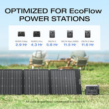 EF ECOFLOW 220W Portable Solar Panel, Bifacial Design, IP68 Waterproof
