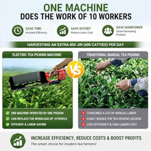 piudoiliy Handheld Tea Leaf Harvester,Portable Hedge Trimmer,Cordless Lightweight Tea Plucker, for Tea Gardens/Small Farms