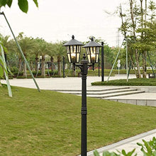 iumLeap 114Inch Outdoor Lamp Post Light Afence Bollard Path Lamp 2-Head Path Pillar Lamp Waterproof Ip65 Street Light Garden Exterior Pillar Post Light Glass Lantern Pole Lig(114inch)