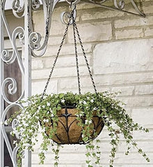 Green Thumb 14" Black Steel Fleur De Lis Finial Hanging Basket Planter with Coco Liner & Chain - Pack of (12)