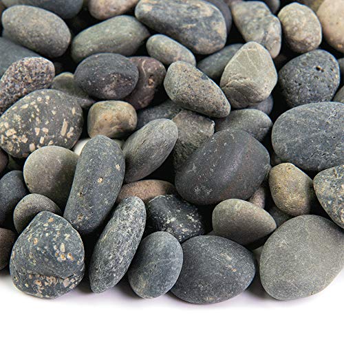 Southwest Boulder & Stone Landscape Rock and Pebble | 2000 Pounds | Natural, Decorative Stones and Gravel for Landscaping, Gardening, Potted Plants, and More (Mixed Mexican Beach Pebble, 3/8 Inch)