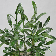 Dntum Artificial Bonsai Tree Natural Jade Bonsai Wealthy Bamboo and Jade Ornaments Bonsai for Home Office Shop Zen Decoration Decor Simulation Bonsai Trees