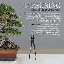 BambooMN Bonsai Basics Set - 8" Knob Cutter and 7.2" Trimming Shear - 30 Sets