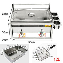 Commercial Gas Fryer With Seasoning Box And Lid, Outdoor Stainless Steel Stove, Fryer With French Fries For French Fries Restaurant Home Kitchen,12L+2Xfryer Basket