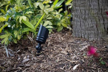VOLT 12V LED Landscape Lighting Kit (6 Spotlights, 4 Path Lights), Black