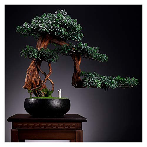 Indoor Simulation Welcome Pine Bonsai Green Plant Potted Hotel Fake Tree Landscape Plant Corridor Decoration Decoration Gift House Plant (Color : C)