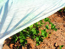 DeWitt Company Seed Guard, 12 by 1000-Feet