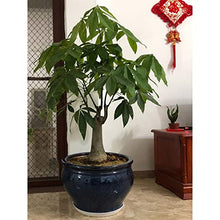 XUNTING Indoor Planters Ceramic Plant Pot Planter - Garden Round Decorative Flower Pots with Drainage Hole Large Blue Planter for Indoor/Outdoor Plants Flower Succulent pots(42cm)