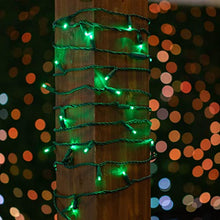 Novelty Lights 12-Pack, 50 Feet 100 LED Green Christmas Mini Light String on Green Wire, 5mm Wide Angle Bulbs, Connectable, Indoor/Outdoor Decor, UL Listed