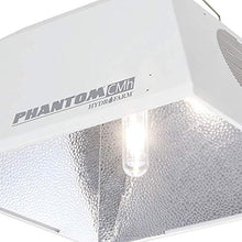Hydrofarm PHR3150 w/PHBC3151 & 4200K Bulb Kit