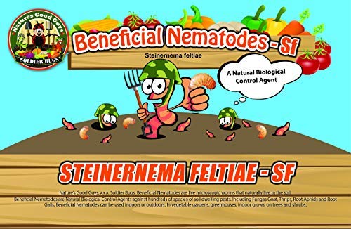 Beneficial Nematodes Steinernema feltiae SF - Biological Fungas Gnat Control (500 Million)