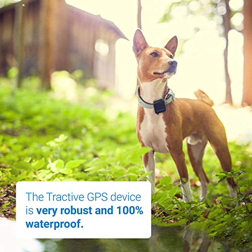 Tractive 3G GPS Dog Tracker Black