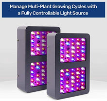 THEBUDGROWER Complete Grow Tent Kit - 300 Watt LED Grow Light, Rope Hangers, Grow Plant Pot Soil, Heat & Humidity Monitor, Electronic Timer & More - Easy Indoor Setup Grow Kits