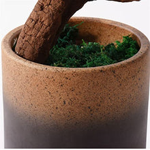 CLoxks Artificial Bonsai 24Inch Artificial Bonsai Welcoming Pine Tree, Simulation Potted Plant Decorative Bonsai with Ceramic Pots, Office, Shop Decorative Gifts for Home Office