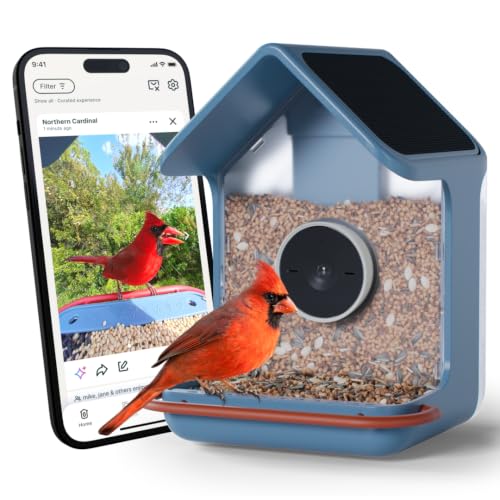 Birdbuddy Home Smart Bird Feeder with Camera, AI Bird ID Dual Solar Panel