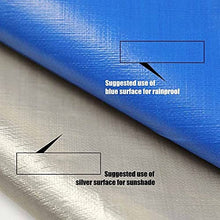 Silver-Blue 0.32mm PE Rainproof Cloth Truck Canopy Tarpaulin Outdoor Awning Garden Plant Waterproof Shade Cloth Pet House Cover Tent (L)