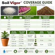 Soil Vigor Water-Storing Crystals for Plants, Large 5-10 Mesh Potassium Polyacrylate Granules, Reduces Watering, Improves Root Hydration for Houseplants, Trees, Lawns & Gardens, 40 lb