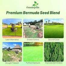Outsidepride Oasis Bermuda Grass Seed - 50 lbs Warm Season, High Traffic, Heat Resistant, Drought-Tolerant, Low-Maintenance, Fast Growing Turf Grass for Lawn, Ideal for Sunny Areas, Thick Coverage