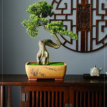 YXIANG56Q Fake Plants Grade Simulation Welcome to Tree Tree Bonsai Hotel Office Tea Several Live Hall Extreme Decoration Beautiful Items Bonsai Tree(E)