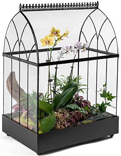 H Potter Extra Large Glass Terrarium Wardian Case, 22.6 Inch Tall