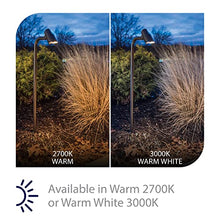 WAC Landscape Lighting, Accent Stem LED 12V Path and Area Single Light 2700K Warm Built-in LED in Solid Brass Coated with Bronze